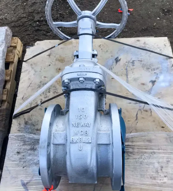 10" Neway 150 Gate Valve